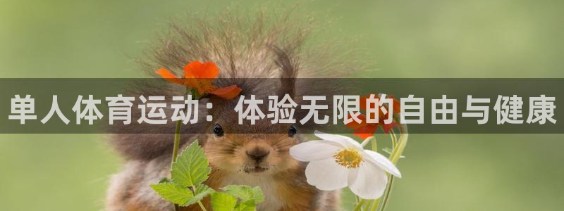 欧亿体育官方正版app娱乐40996:单人体育运动:体验无限